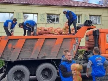 Фото: Более 9 тысяч семей получили бесплатные овощные наборы в Кузбассе 2