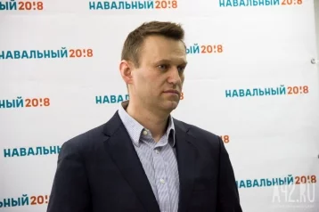 Фото: МВД: жена Навального назвала возможную причину, почему ему стало плохо в самолёте 1