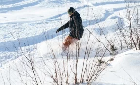В Шерегеше на сноубордиста напал глухарь