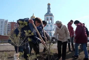 Фото: К Пасхе возле 11 храмов Кузбасса высадят деревья 1