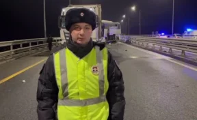 В Нижегородской области в массовом ДТП с автобусами пострадали 14 человек