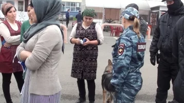 Фото: В Кемерове на рынке обнаружили нелегальных мигрантов 1
