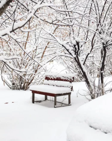 Синоптики объяснили мощные снегопады в Кузбассе