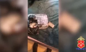 В Кемерове в суд ушло дело 13 наркоторговцев, работавших в разных регионах