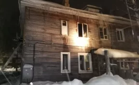 Четверо детей с мамой сгорели на пожаре в Архангельской области