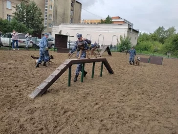 Фото: В центре Кемерова открыли площадку для выгула собак 3
