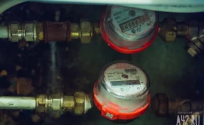 В Госдуме рассказали, кто может оформить перерасчёт за ЖКУ в новогодние каникулы