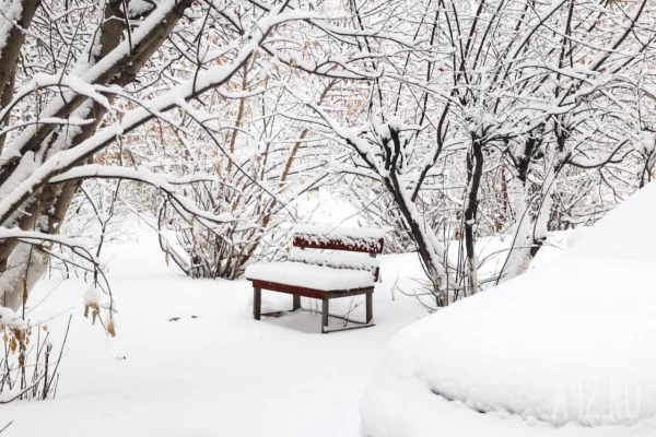 Синоптики объяснили мощные снегопады в Кузбассе