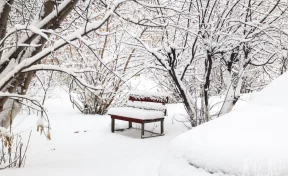 Синоптики объяснили мощные снегопады в Кузбассе