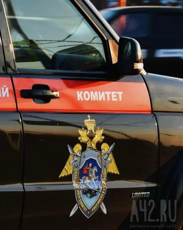 Бастрыкин потребовал доклад по обращению о сироте из кузбасского села