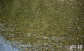 Число погибших при наводнении в Таиланде превысило 80 человек