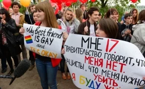 Милонов предложил сторонникам гей-пропаганды переехать в Киев и «перекрасить хохолки»