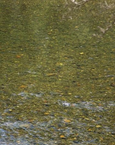 Число погибших при наводнении в Таиланде превысило 80 человек