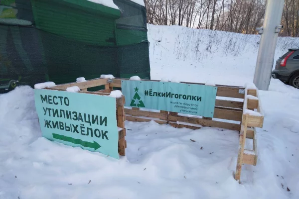 Администрация Новокузнецка напомнила о сборе новогодних елей на корм животных