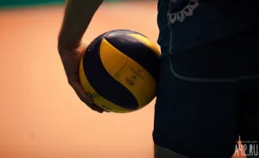 Во время матча на чемпионате в Бразилии опоссум выбежал на площадку и распугал волейболисток 