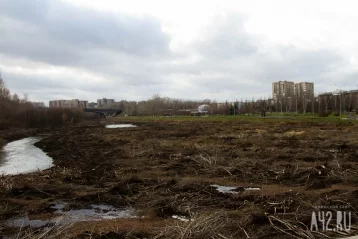 Фото: Власти рассказали о проекте парковой зоны на реке Искитимке в Кемерове 1