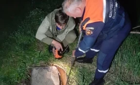 В Кузбассе сурок застрял в скважине: ему на помощь пришли спасатели
