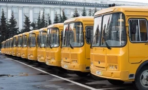 В кузбасские образовательные учреждения поступили 52 новых школьных автобуса