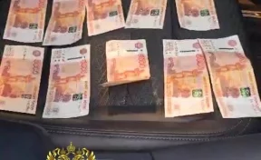 В Москве автоблогера задержали по подозрению в даче взятки инспектору ДПС
