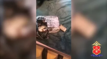 Фото: В Кемерове в суд ушло дело 13 наркоторговцев, работавших в разных регионах 1