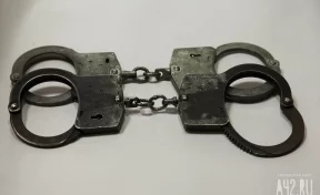 Кемеровчанина арестовали на 7 суток за демонстрацию нацистской символики в парке