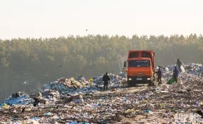В Кемерове супругов оштрафовали на 5,5 млн рублей за слишком дорогой проект рекультивации свалки
