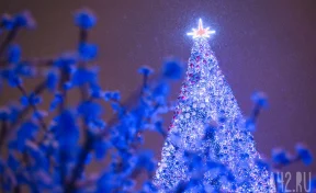 В Кузбассе все главные новогодние ёлки зажгутся одновременно 1 декабря
