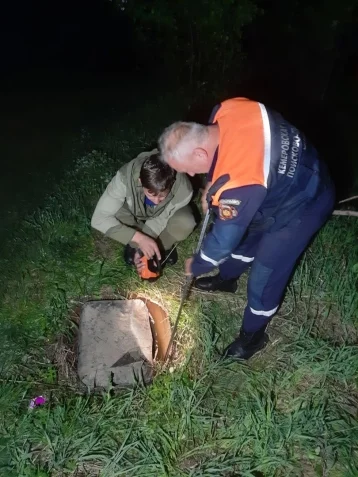 Фото: В Кузбассе сурок застрял в скважине: ему на помощь пришли спасатели 1
