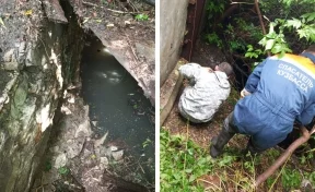В Мариинске спасатели вытащили собаку из ямы с водой