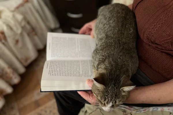 Самыми частыми мишенями телефонных мошенников в Кузбассе стали пенсионерки