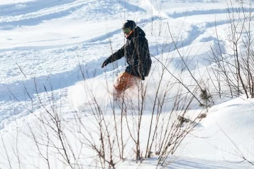 Фото: В Шерегеше на сноубордиста напал глухарь 1
