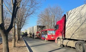 В Приморье в ДТП с автобусом и грузовиком пострадали пять человек