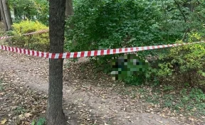 Москвич нашёл тело задушенной женщины во время прогулки с собакой 