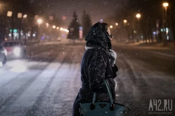 Фото: Последняя неделя года начнётся для кузбассовцев со снегопада и метели 1