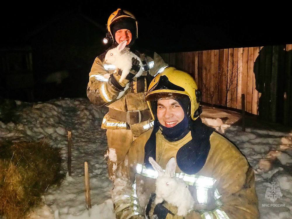 В Омской области пожарные спасли из огня восемь кроликов, один крызун пострадал 