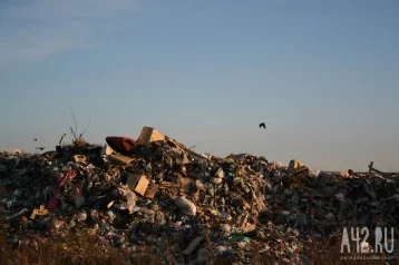 Фото: Кузбассовец зарезал приятеля на полигоне бытовых отходов 1