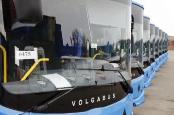 Фото: Кузбасс получил ещё 10 новых автобусов 1
