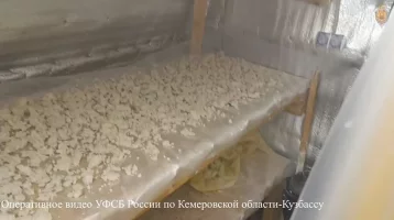 Фото: В Кузбассе ФСБ накрыла нарколабораторию, двух человек арестовали 1