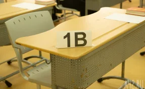 Эксперт рассказала, какое заимствованное слово нельзя использовать в сочинениях ЕГЭ