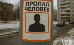 Под Новосибирском ищут женщину, пропавшую в 30-градусный мороз 5 дней назад