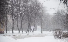 В Гидрометцентре назвали российские регионы, в которых ожидается снежный декабрь
