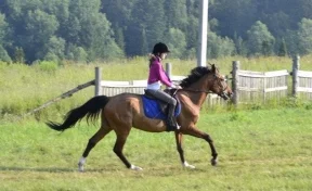 Каникулы верхом на лошади: в Кемерове прошёл первый сезон конно-спортивного лагеря для школьников