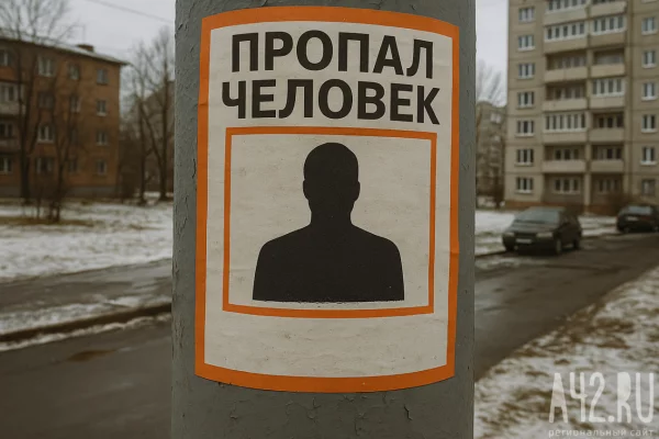 Под Новосибирском ищут женщину, пропавшую в 30-градусный мороз 5 дней назад