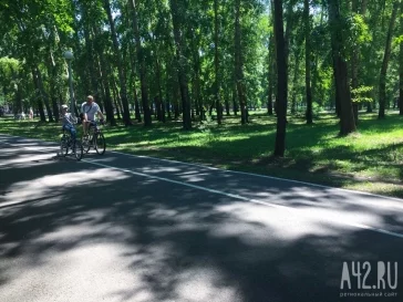 Фото: Не поедем, не помчимся: тестируем велодорожки в Кемерове 6