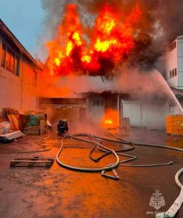 Фото: Мощный пожар: в Подмосковье горит помещение по производству лакокрасочных изделий 1