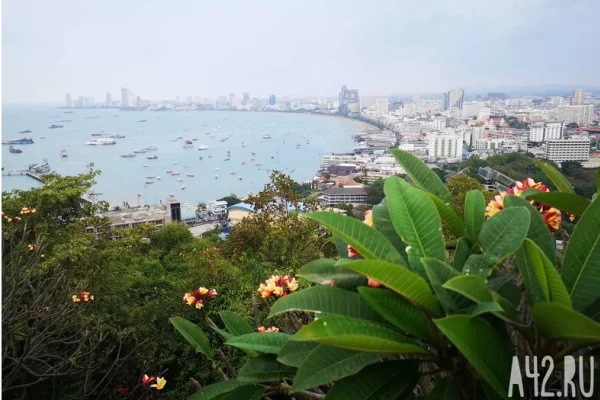 Daily Mail: сооснователь компании ASOS Гриффитс погиб в Таиланде