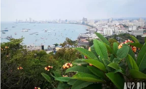 Daily Mail: сооснователь компании ASOS Гриффитс погиб в Таиланде