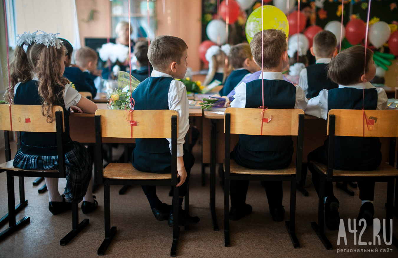 В Кузбассе стартует набор детей в первый класс с 29 марта: в минобре напомнили, как записаться