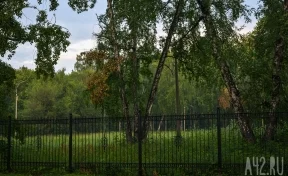Кузбассовец взял в аренду у государства землю в престижном месте и попытался её продать