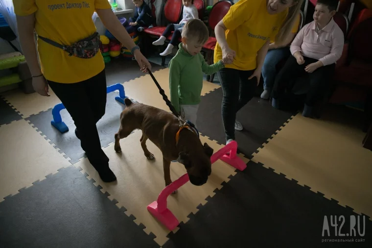 Фото: Доктор пёс. Как волонтёры с собаками учат детей с инвалидностью ходить и говорить 4